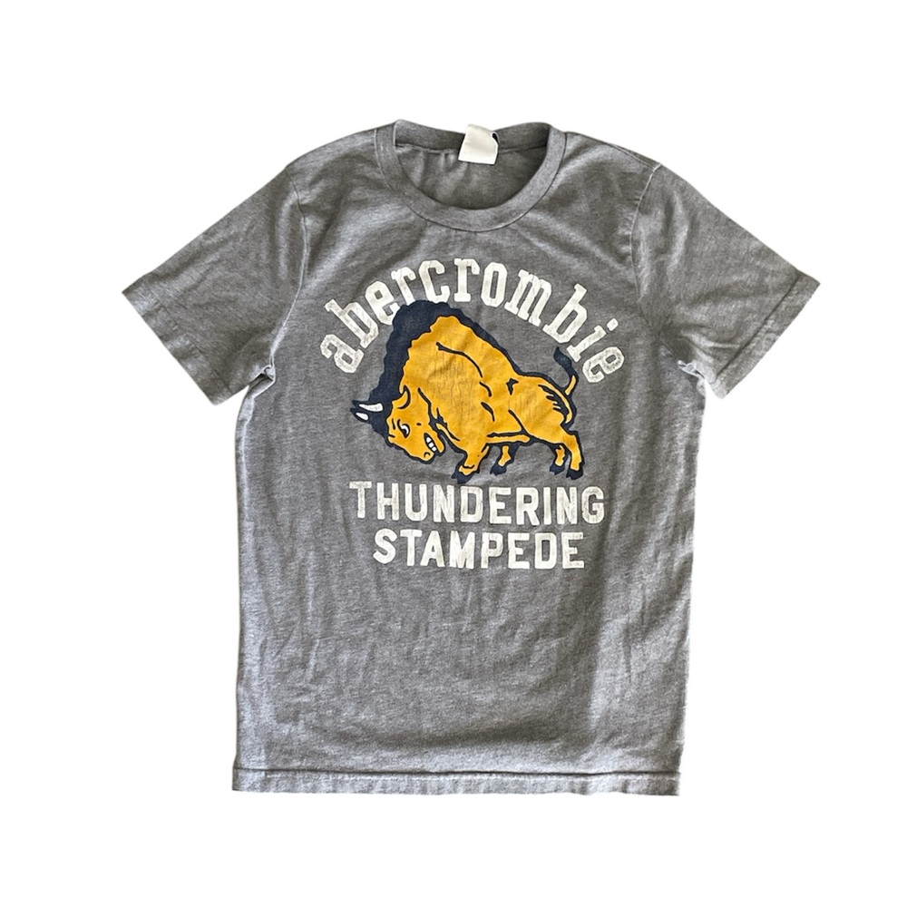 Abercrombie & Fitch kids gray thundering stampede graphic tee